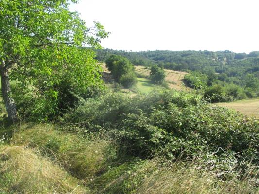 DORDOGNE- COUX ET BIGAROQUE- TERRAIN