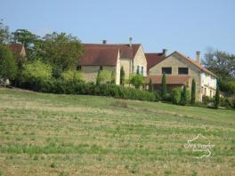 DORDOGNE-SARLAT LA CANEDA:  ENSEMBLE IMMOBILIER DE GITES