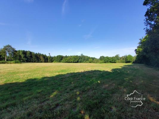 Terrain constructible pour lotissement de quinze maisons