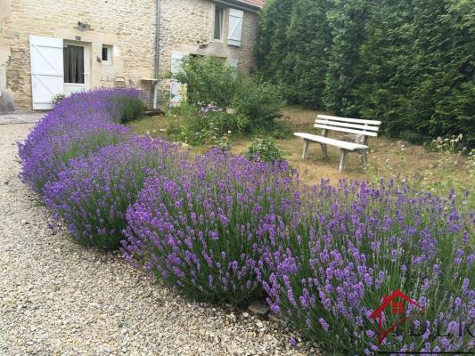 SUPERBE PROPRIETE EN PLEIN COEUR DE LA  HAUTE MARNE