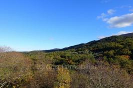 Achat maison à Montesquieu des Albères