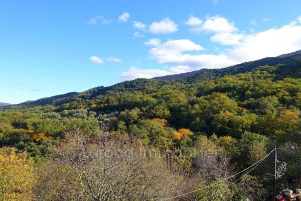 Achat maison à Montesquieu des Albères