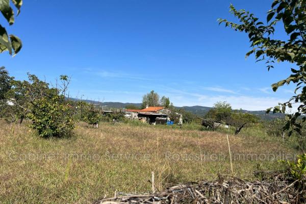 vente terrain agricole