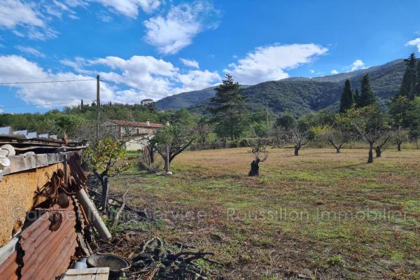 vente terrain agricole