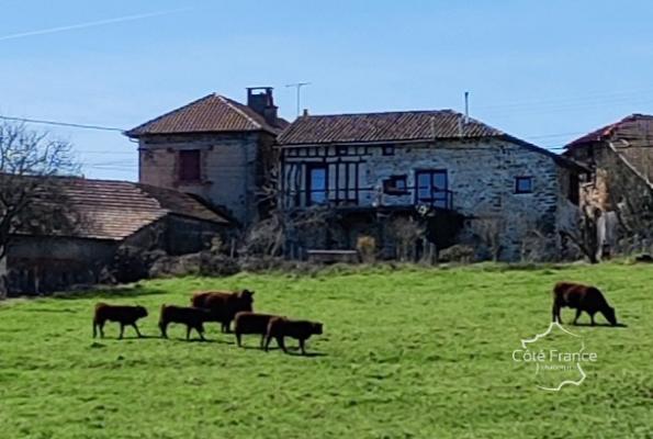 En exclusivité, Maison de charme avec belle vue dans un hame