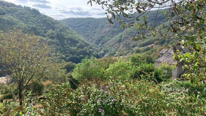 Grande maison de campagne avec gîtes avec des belles vues