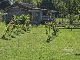 Maison de caractère (T5, renovée) située à la campagne - Le