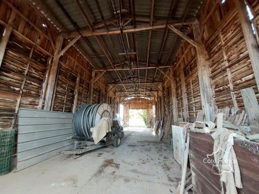 Propriété de 2 hectares comprenant une ferme et plusieurs dé