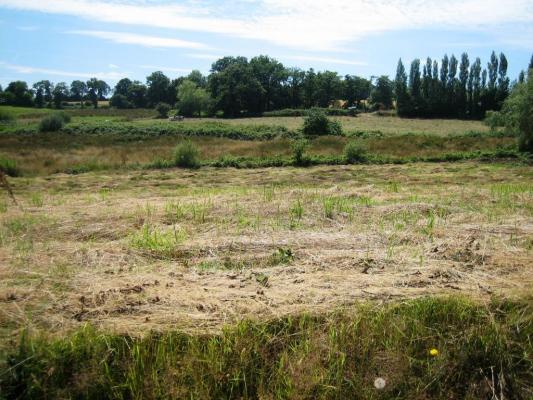 Terrain à bâtir