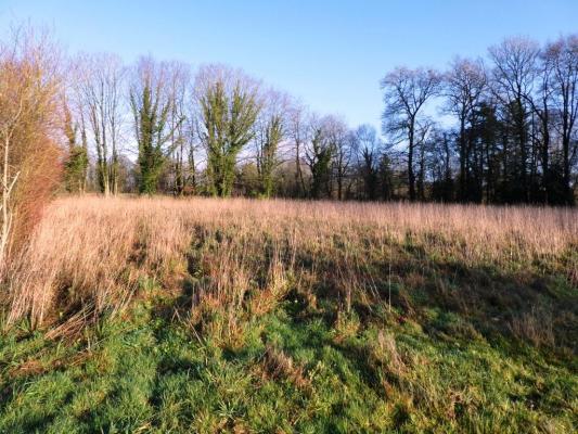 Terrain agricole