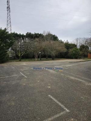 À louer, local de 80 m² et bureaux de 20 m²