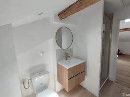 Magnifique appartement de 50 m2 au sol entiérement renové a neuf