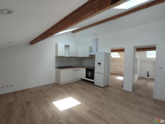 Magnifique appartement de 50 m2 au sol entiérement renové a neuf