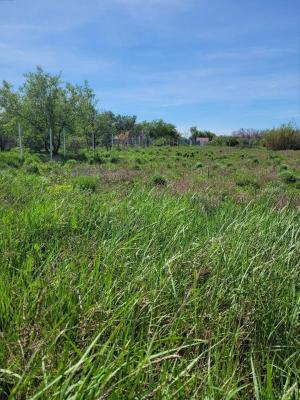 Terrain agricole