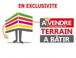 Terrain constructible