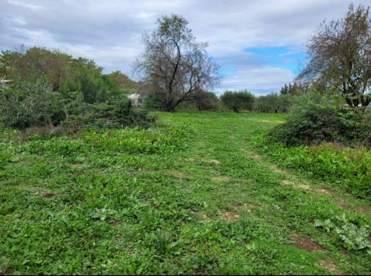 Terrain agricole