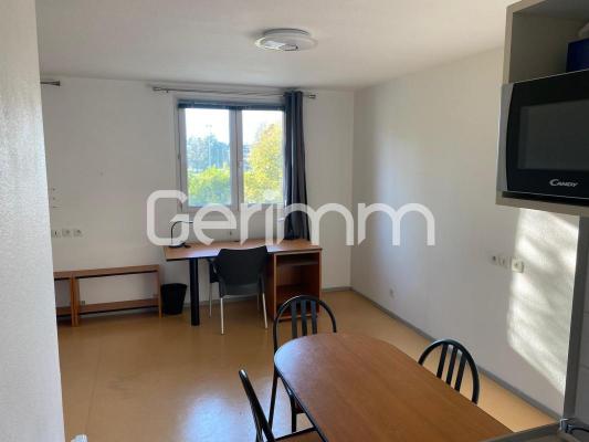 Location - Appartement - Studio - 22,64 m² - 505 €/mois C.C -