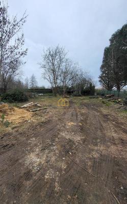 Terrain de 740m2 à vendre, libre constructeur, à Corné, Loir