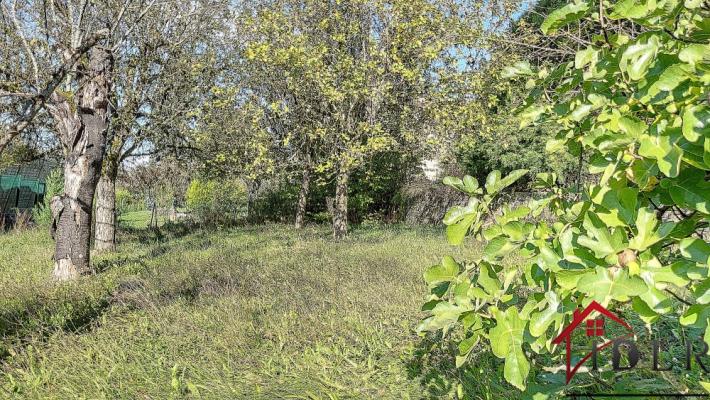 Maison avec possibilité de vivre de plein pied