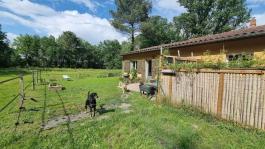 Maison Propriété et appartements sur  2.5 hectares