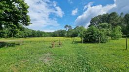 Maison Propriété et appartements sur  2.5 hectares