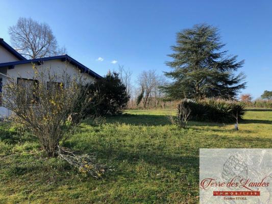 Grande maison de 290m2 sur terrain de 3 hectares