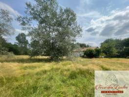 Maison de résinier au calme sur 6745 m2 de terrain