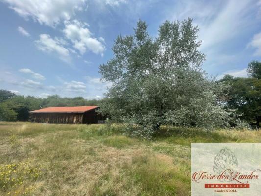 Maison de résinier au calme sur 6745 m2 de terrain