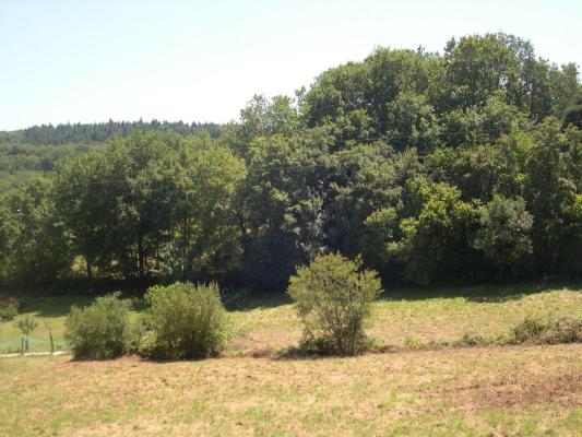 TERRAIN CONSTRUCTIBLE 7 503 m² PROCHE MAUBOURGUET