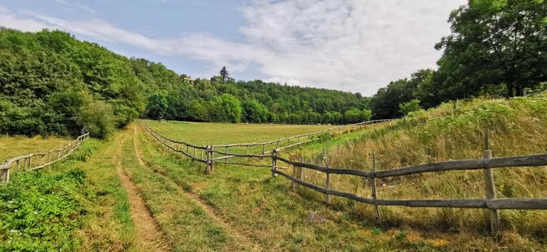 Ensemble De 3 Gîtes et Maison d'habitation Sur 12 Hectares