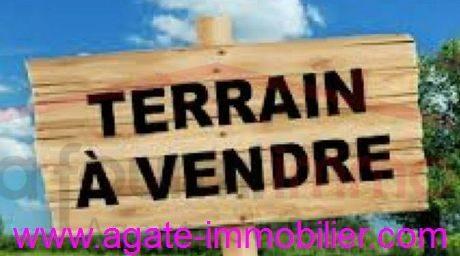 TERRAIN BOISE A VENDRE DE PLUS DE 2000 M²