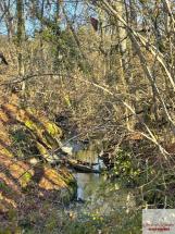 Maison de Résinier à Restaurer sur 3 HECTARES