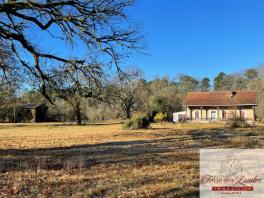 Maison de Résinier à Restaurer sur 3 HECTARES