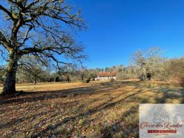 Maison de Résinier à Restaurer sur 3 HECTARES