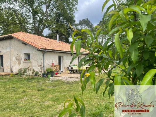 MAISON ANCIENNE SUR TERRAIN CLOS ET ARBORÉE DE 5204 M²