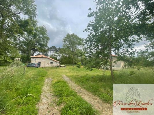 MAISON ANCIENNE SUR TERRAIN CLOS ET ARBORÉE DE 5204 M²