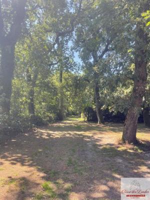 UN PETIT JOYAUX LANDAIS SUR UN TERRAIN VERDOYANT AU CALME