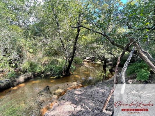 Propriété Landaise sans voisins 6ha avec ruisseau