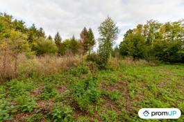 Terrain de loisir 1600 m²