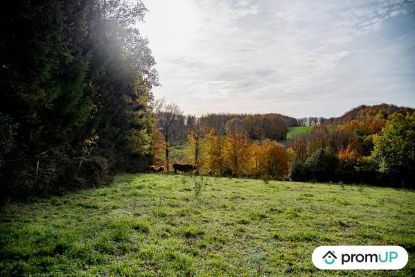 Terrain agricole 3,05 ha avec sources