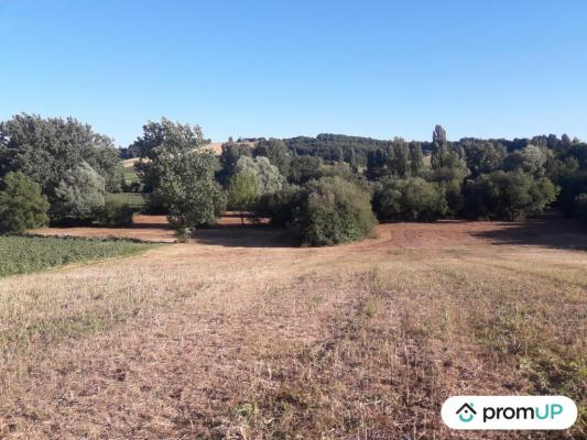 Terrain agricole de 74 048 m²