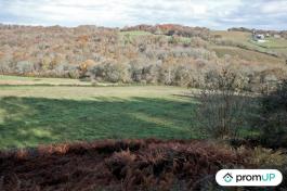 Terrain constructible de 1633m2 à Casteide-Cami