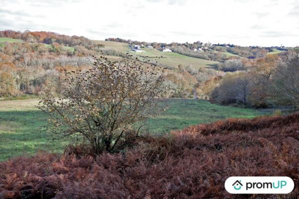 Terrain constructible de 1633m2 à Casteide-Cami