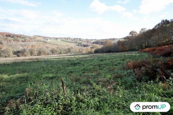 Terrain constructible de 1633m2 à Casteide-Cami