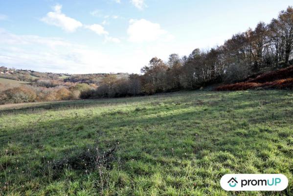 Terrain constructible de 1633m2 à Casteide-Cami