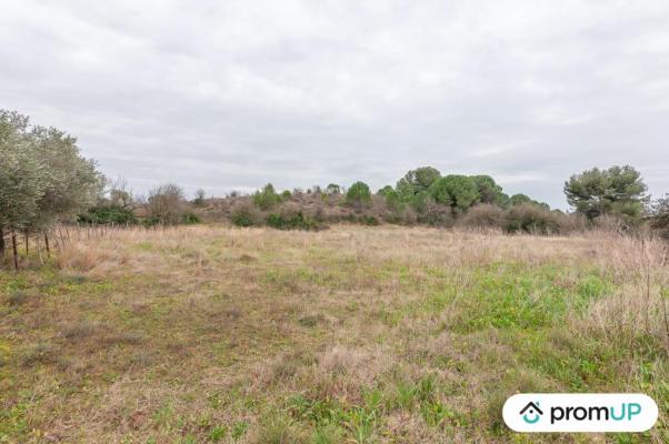 Terrain agricole de 10 610m2 à Lunel -Viel