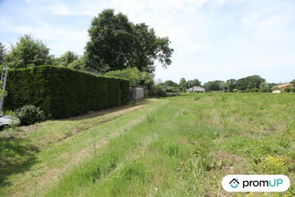 Terrain constructible de 3 445 m2 à Arsague