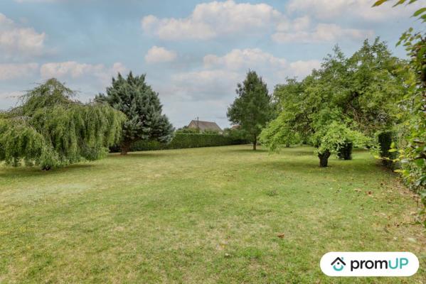 Terrain constructible de 1000 m2 à Oison