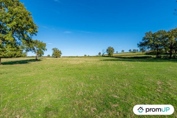 Terrain de loisir de 46 710 m2 à SAINT-LAURENT-D'ANDENAY