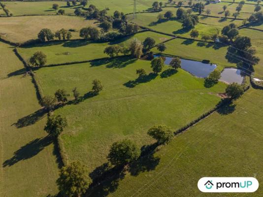 Terrain de loisir de 46 710 m2 à SAINT-LAURENT-D'ANDENAY